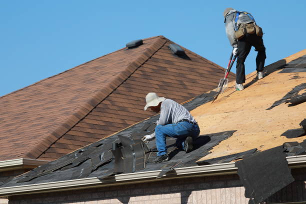 Best Gutter Replacement  in Brooksville, FL