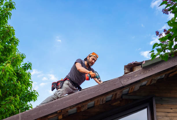 Best 4 Ply Roofing  in Brooksville, FL